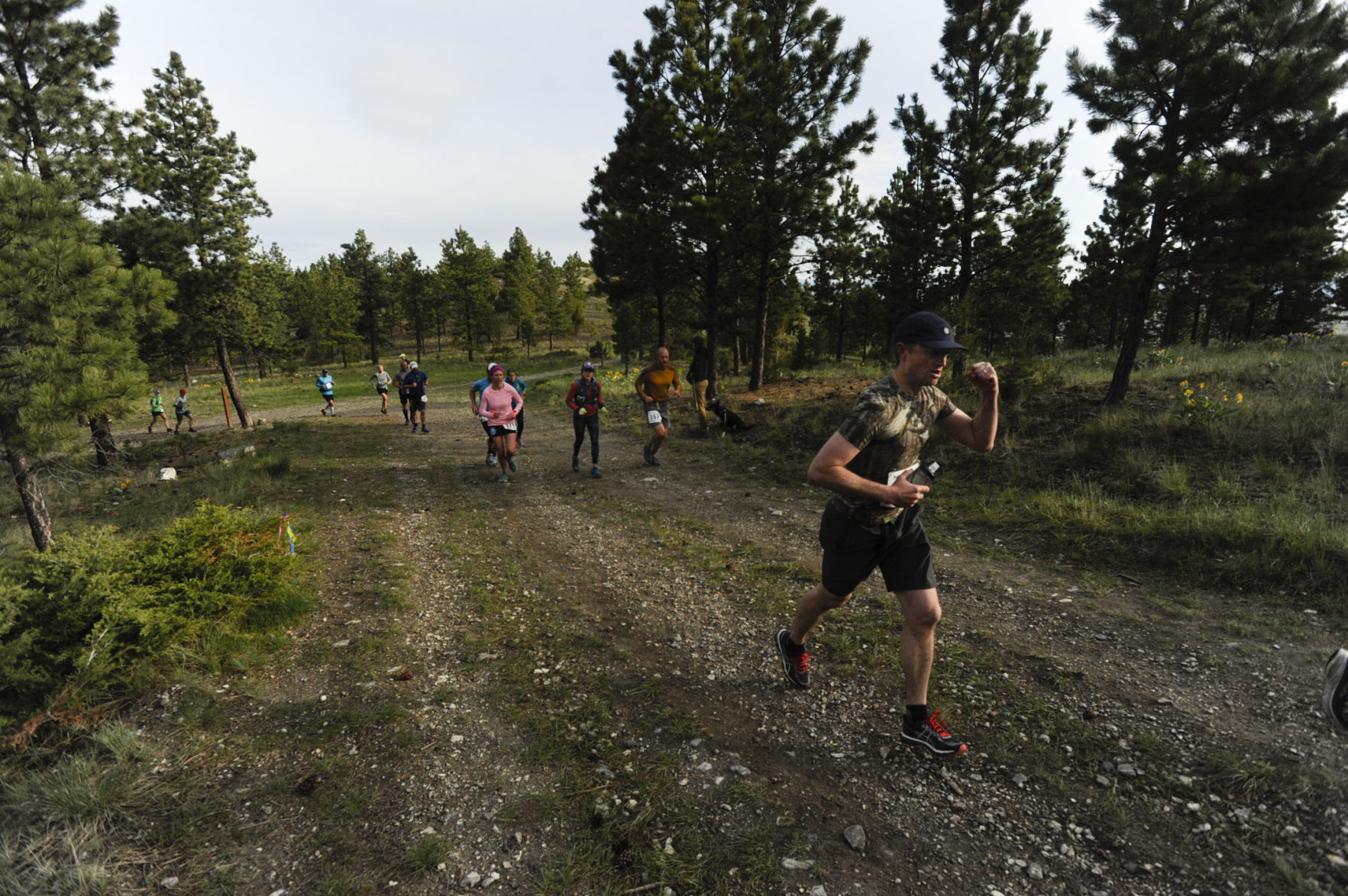 2017 Don't Fence Me In trail run